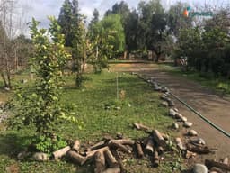 Casa en venta en Vitacura — foto 8 de 37