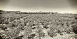 Sitio en venta en Puerto Varas — foto 2 de 2