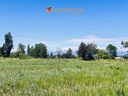 Agrícola en venta en Futalefu — foto 3 de 3