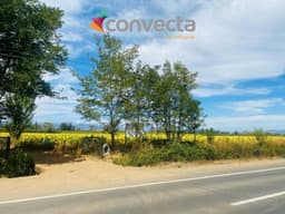 Agrícola en venta en Futalefu — foto 2 de 3